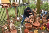 Tłumy na Wiosennych Targach Ogrodniczych w Starym Polu. Wystawcy będą czekali także w niedzielę