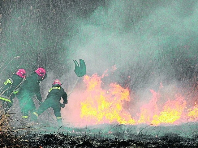 Tylko w sierpniu strażacy gasili 23 pożary lasów i dziesiątki pożarów nieużytków rolnych.