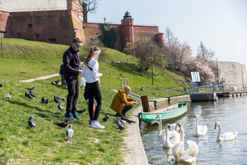 Koronawirus w Krakowie. Wielu spacerujących na bulwarach wiślanych, Błoniach i w dolinkach. Na Rynku sporo rowerzystów [ZDJĘCIA]