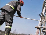Strażacy w akcji: spłonęło 25 arów trawy