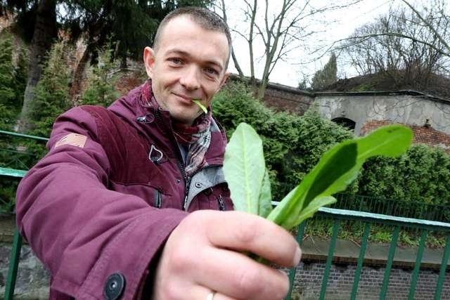 Filip Malinowski specjalnie na festiwal przygotował pierogi z pokrzywami 