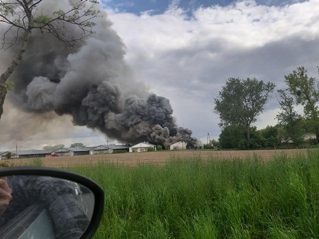 Pożar świniarni w Więckowicach, w gminie Dopiewo. W akcji gaśniczej bierze udział ponad 20 zastępów strażackich. W płomieniach zginęło 1900  prosiaków.Zobacz kolejne zdjęcie --->