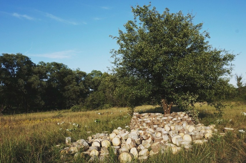 Land Art Festiwal: O czym szumi Bug? Rozmowa artystów z rzeką