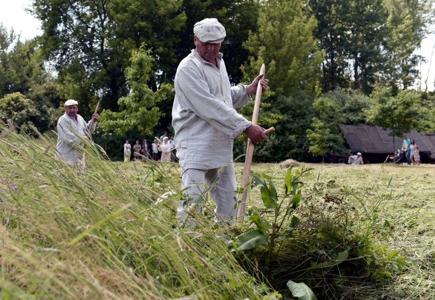 Sianokosy w skansenie. Zobaczcie jak to kiedyś na wsi było (GALERIA FOTO)