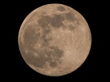 Superksiężyc we Wrocance koło Jasła. Najjaśniejsza pełnia w 2020 roku! [ZDJĘCIA I FILMY] 