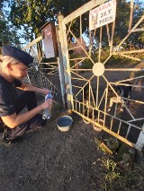 Pozostawione bez opieki psy w Pruszczu Gdańskim. Zwierzakom pomogli pruszczańscy policjanci