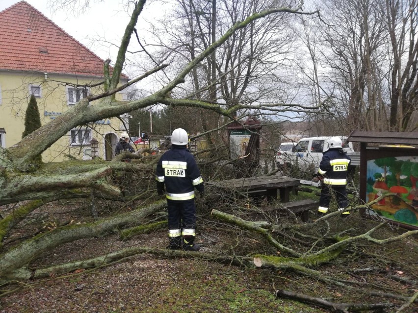 Orkan Sabina w regionie. Jaka pogoda czeka nas we wtorek?