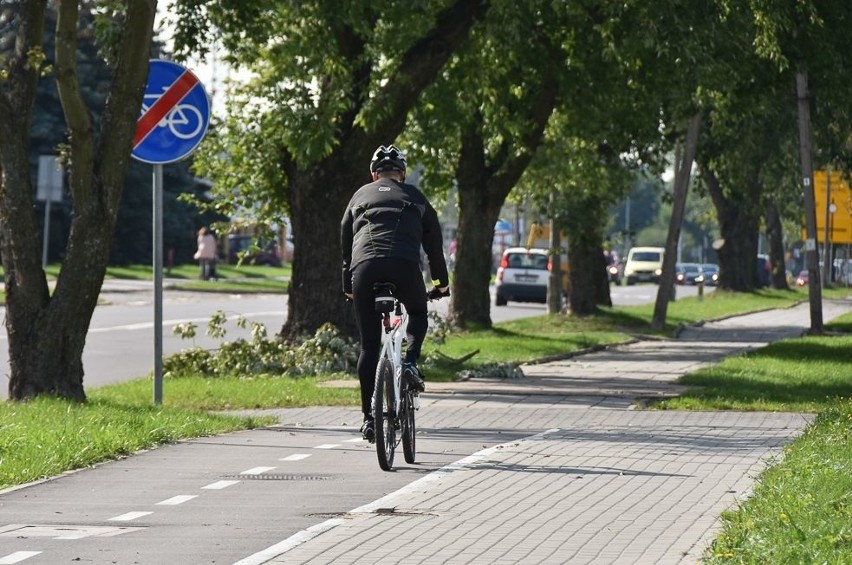Nowe ścieżki rowerowe przy ul. Hetmańskiej i Pogodnej. Miasto szuka wykonawcy