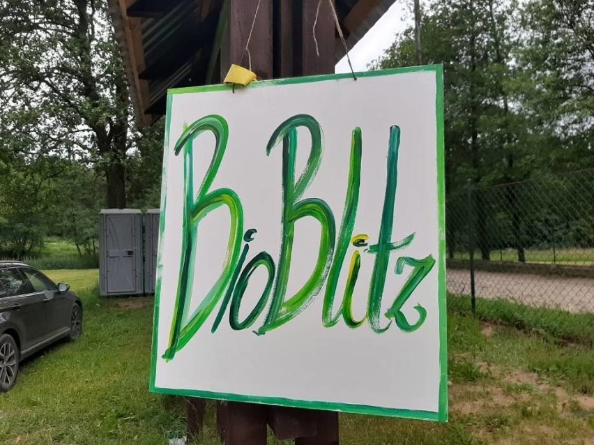 Bioblitz - niezwykłe warsztaty przyrodnicze w gminie Somonino [zdjęcia]