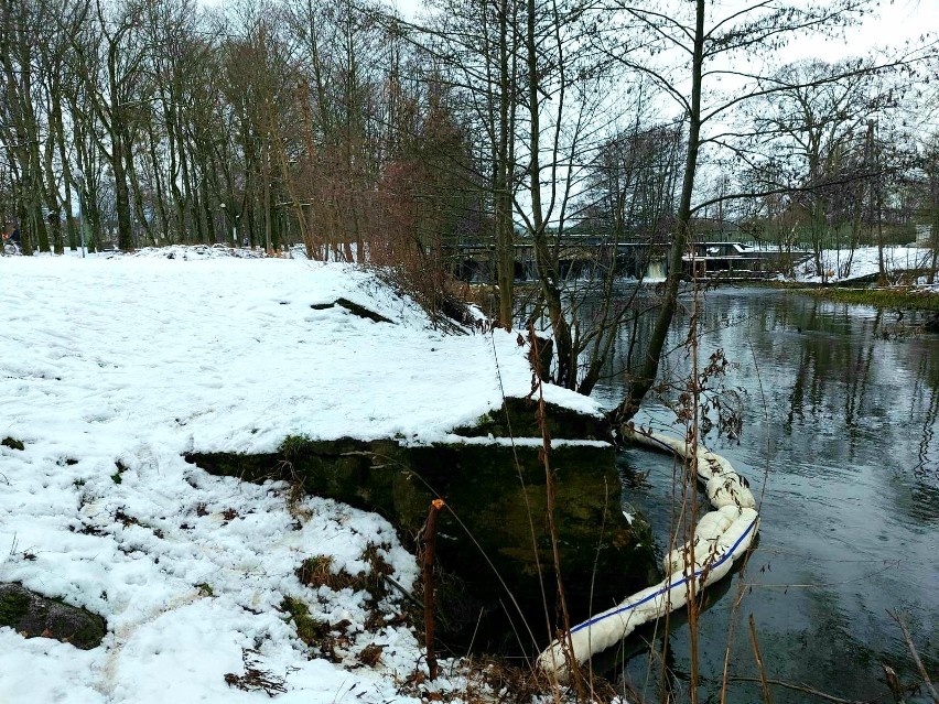 Substancja oleista na rzece Słupi