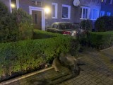 O krok od tragedii w Brzegu. Pijany 44-latek wjechał samochodem w blok mieszkalny. Miał 2,5 promila alkoholu