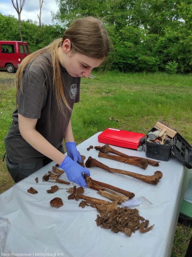 Szczątki ludzkie znalezione na poligonie na Brusie podczas poszukiwań w 2022 roku. Nie wiadomo do kogo należą, badania genetyczne utrudnia ich bardzo zły stan.