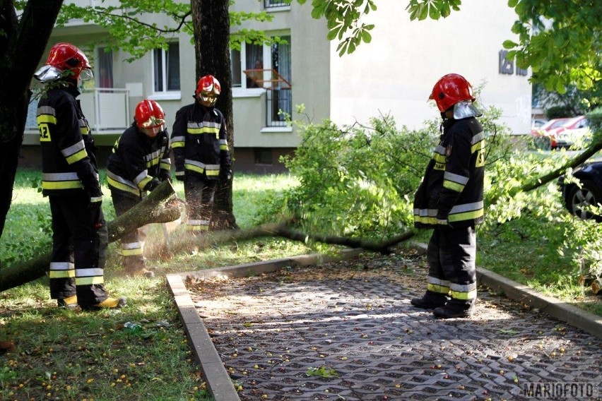 Straż pożarna od godz. 4.45 do godz 7.00 interweniowała...