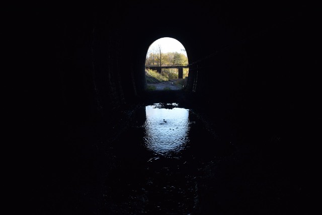 Wnętrze nieczynnego tunelu wydrążonego w skałach Małego Wołowca
