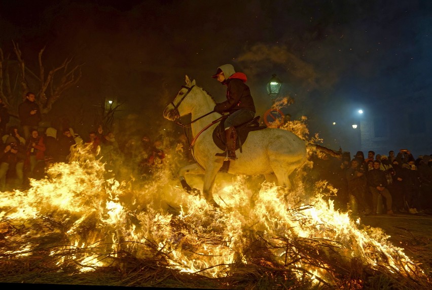 Okrutna tradycja wróciła do Hiszpanii. Konie pędziły w płomieniach