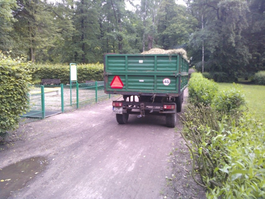 Park Grabiszyński tonie w błocie. Kto niszczy bardziej? Mieszkańcy czy obsługa? (ZDJĘCIA)