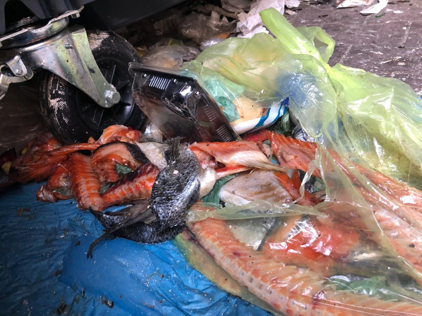 Śmietniki w okolicach Rynku "opanowane" przez restauracje. Gdzie odpady mają wyrzucać mieszkańcy? 