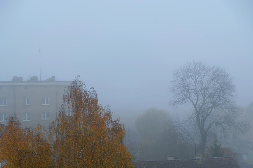 Pogoda na listopad w Podlaskiem 08.11.2018. Silna mgła zmniejsza widoczność na drogach. IMGW wydało ostrzeżenie