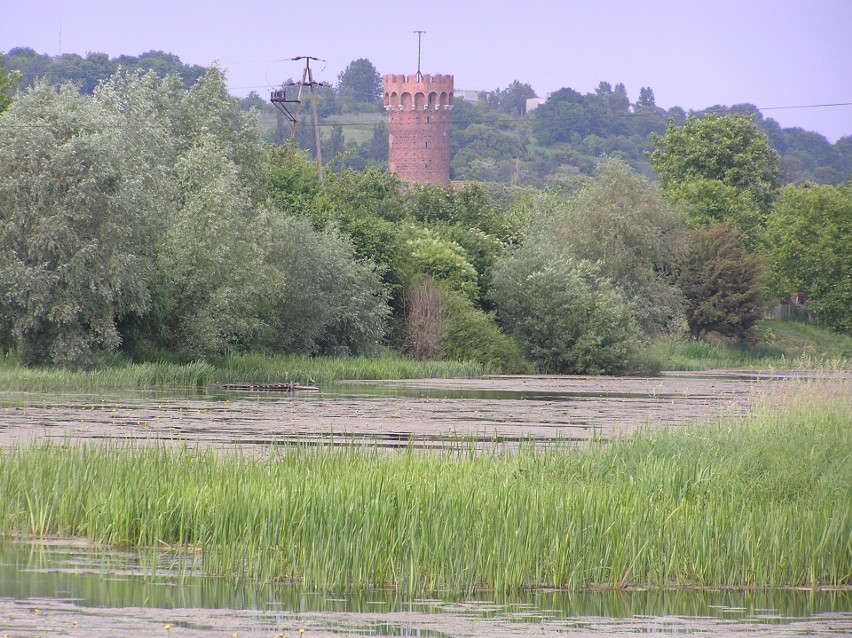 Wieża zamku krzyżackiego w Świeciu nad Wisłą. Przed...
