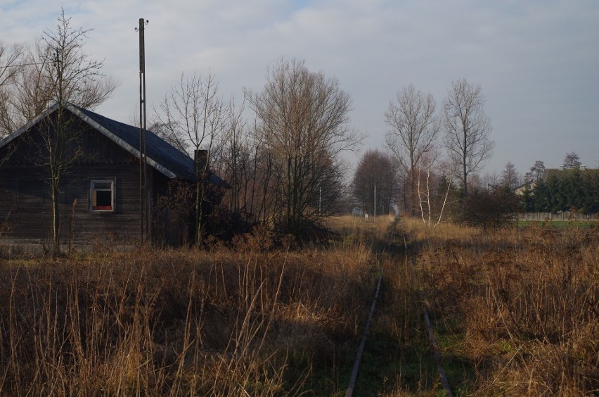 Stara stacja w Hajdaszku zyska nowe życie. Zabytkowa lokomotywa będzie wozić turystów