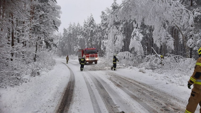 Atak zimy w Radomiu i regionie radomskim. Trudne warunki na drogach, powalone drzewa. Strażacy mają pełne ręce roboty. Śledź raport