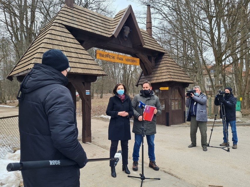 Białowieża. Posłowie Lewicy przeciw wycinaniu drzew w Puszczy Białowieskiej. Chcą by cała Puszcza była parkiem (zdjęcia)