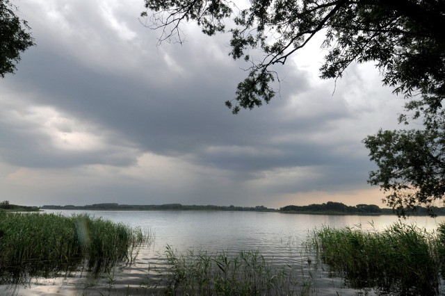 Jezioro Gopło, zdjęcie ilustracyjne.