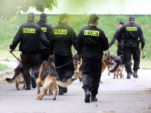 Szukanie zaginionych to często przeczesywanie terenów trudno dostępnych centymetr po centymetrze.