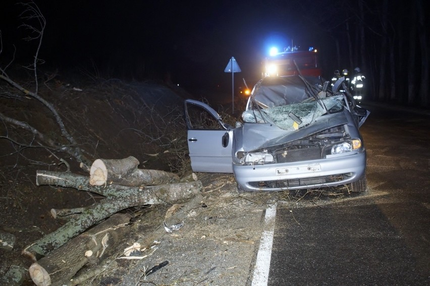 Wypadek koło Barcina. Drzewo przygniotło samochód [ZDJĘCIA]