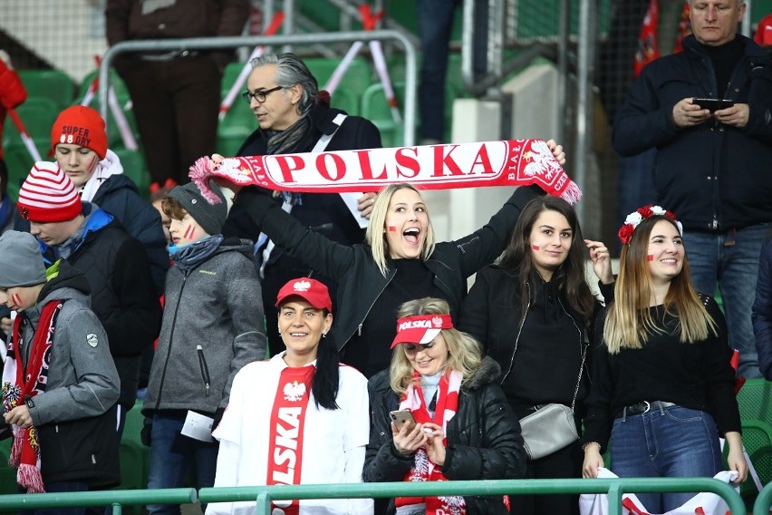 Kibice na meczu Austria - Polska 0:1