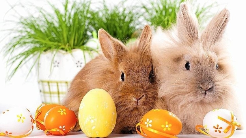 ŻYCZENIA WIELKANOCNE: Tradycyjne rodzinne życzenia na Wielkanoc ...