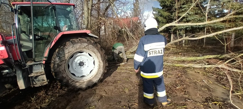 Drzewo przewróciło się na drogę w Jabłonowie-Klaczach. Strażakom pomógł rolnik. Do zdarzenia doszło 5.02.2024