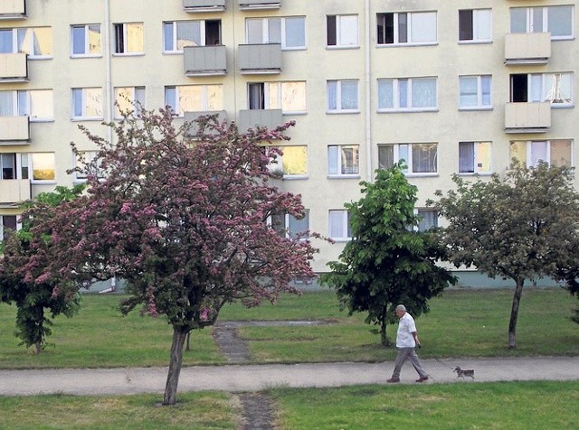 Teren wokół górki przy ZS nr 8 to miejsce codziennych spacerów osób z psami z sąsiednich bloków, a brakuje tam koszy na śmieci