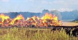 SKWIERZYNA. We wsi Goraj płonął stóg siana, ogień nie przeniósł się na pole. Strażacy powstrzymali pożar [zdjęcia]