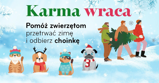 Nadchodzi akcja "Karma Wraca". Wesprzyj samotne zwierzaki i zdobądź świąteczne drzewko 