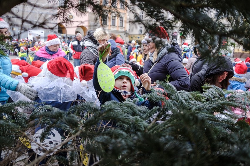 Tarnowskie przedszkolaki przystroiły choinki pod Ratuszem [ZDJĘCIA]