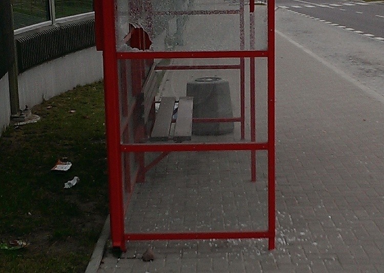 To skutki sobotniej zabawy osiedlowej hołoty z Wygody -...