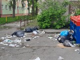 Nieprzyjemny widok i zapach towarzyszył mieszkańcom Błonia w Bydgoszczy podczas majówki. Śmieci porozrzucane wokół kontenera