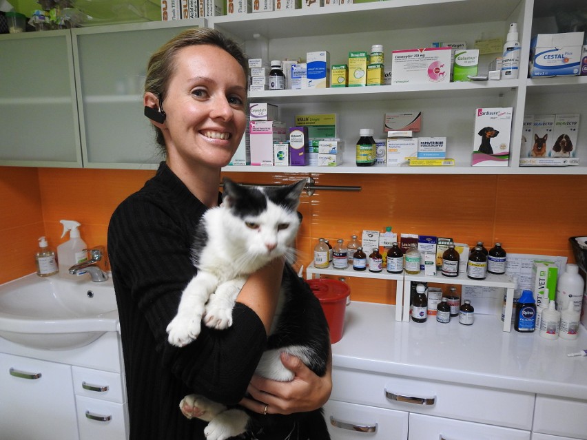 Agata Kilon, prezes fundacji Kotkowo pokazuje kotkę, która...