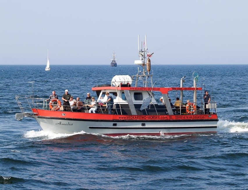 Wędkarstwo morskie USTKA JACHT MOTOROWY AMELIA BIS | Głos Pomorza