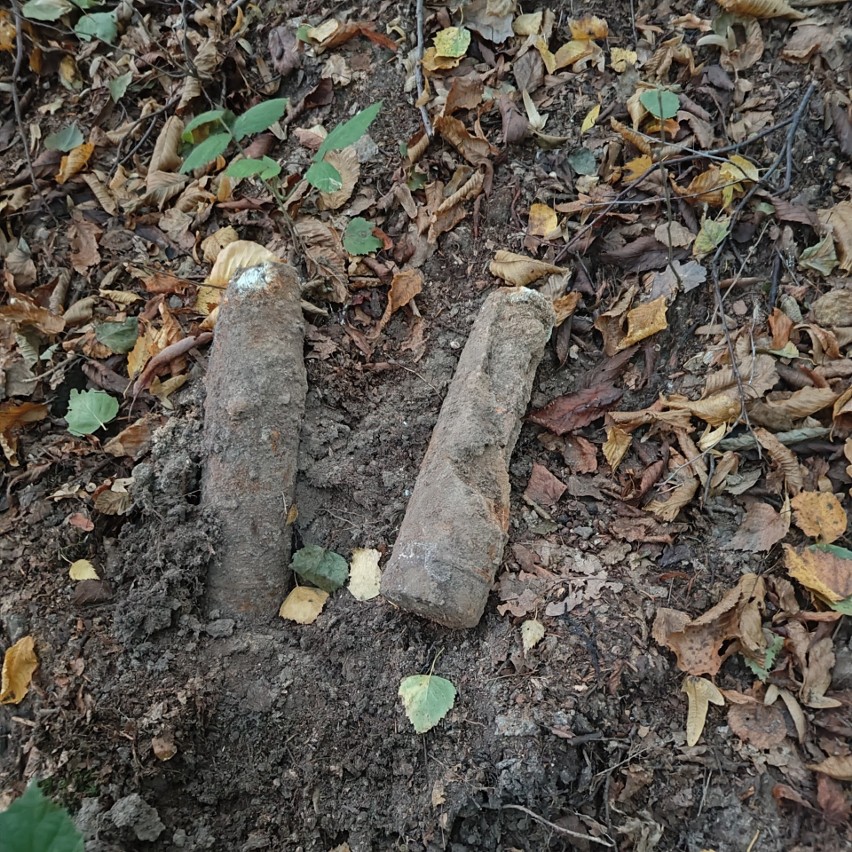 Niewybuchy w lesie w powiecie wielickim. Odkrył je mieszkaniec podczas spaceru