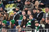 Lechia Gdańsk - Legia Warszawa 8.11.2022 r. Zobaczcie jak kibicowali fani Lechii i Legii w meczu Pucharu Polski. Znajdźcie się na zdjęciach!