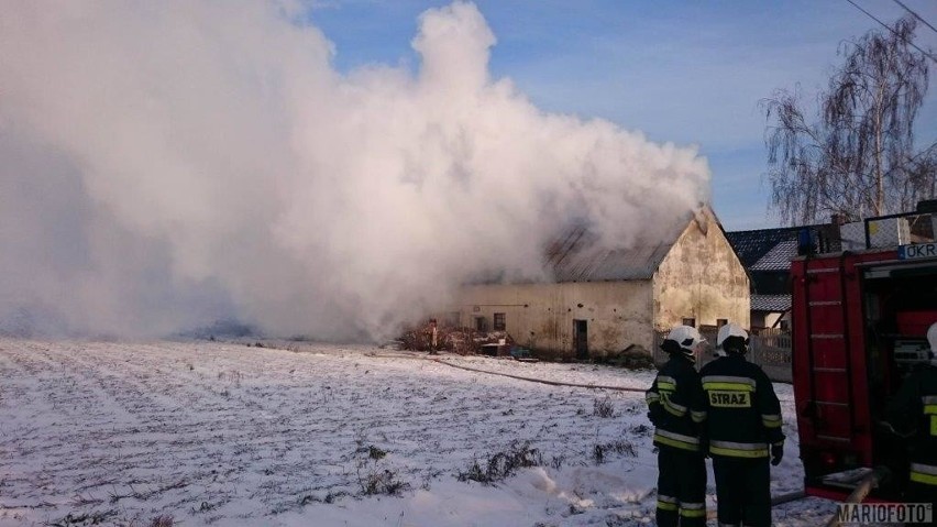 Pożar budynku gospodarczego w Gogolinie.