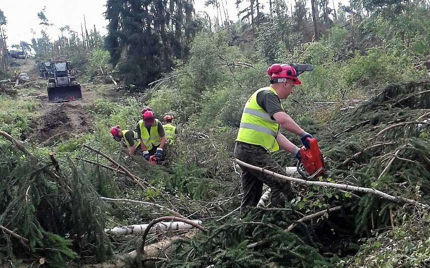 Żołnierze 2 Inowrocławskiego Pułku Inżynieryjnego usuwają...