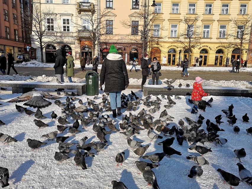 Kraków. W święto zakochanych, krakowski Rynek przyciągnął sporo ludzi [ZDJĘCIA]