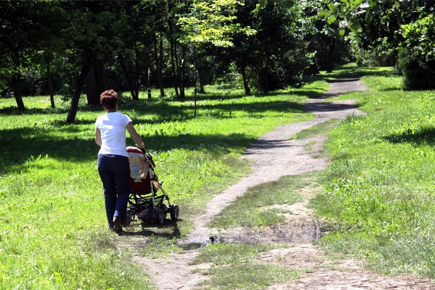 Park Ludowy w Lublinie jest obecnie mocno zaniedbany