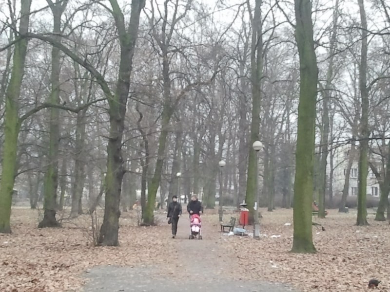 Park górczyński niszczeje. Wiosną parafia ujawni jakie ma wobec niego plany [ZDJĘCIA]