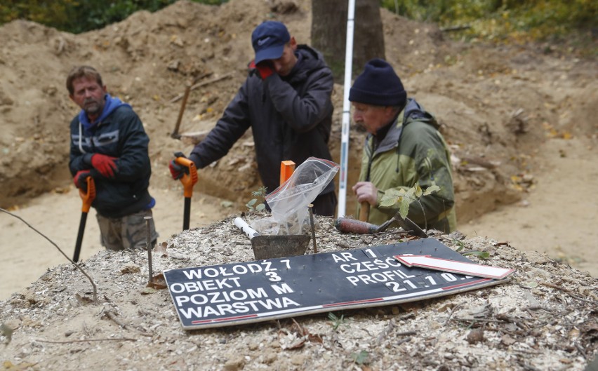 Niesamowite odkrycie archeologiczne w miejscowości Wołodź...