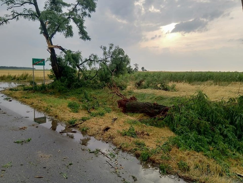 Burze w Wielkopolsce dały o sobie znać na południu regionu....