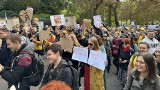 Czeski Kaliningrad? Demonstracja oraz „referendum” w Pradze ws. przyłączenia Królewca pod hasłem „Make Kralovec Czech Again”